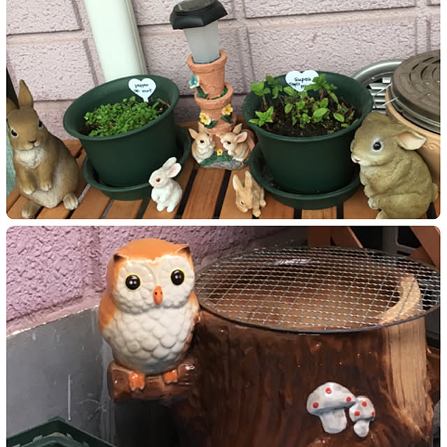 emiさんの実例写真