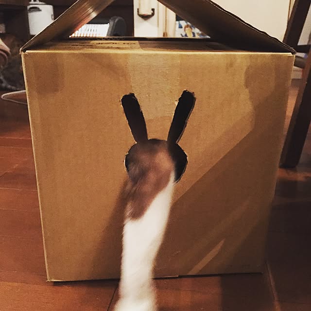 bowbowcoさんの実例写真