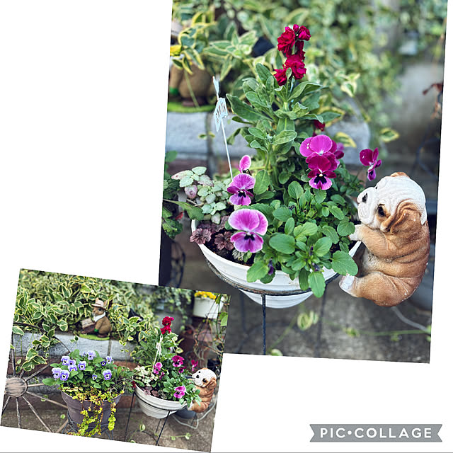 CoCo0617さんの部屋