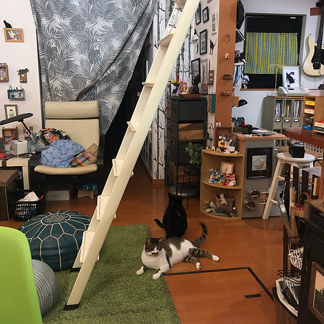 jijiさんの実例写真