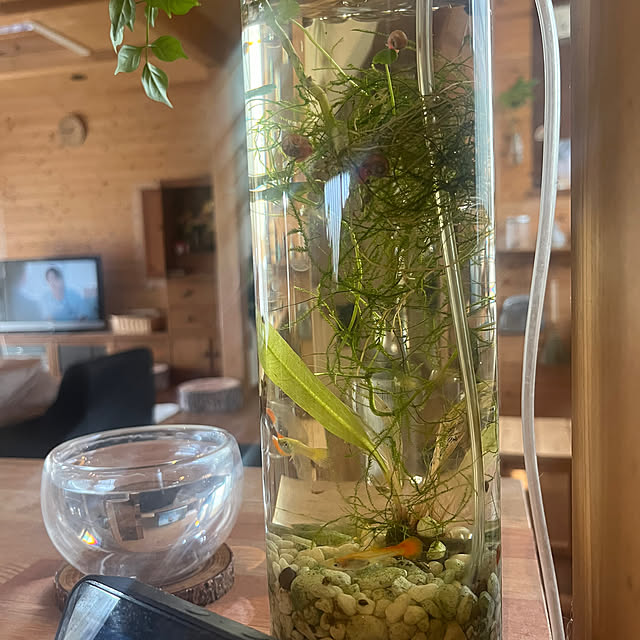 kozakura10さんの部屋