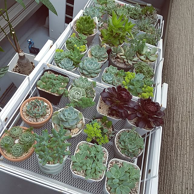 meiさんの部屋