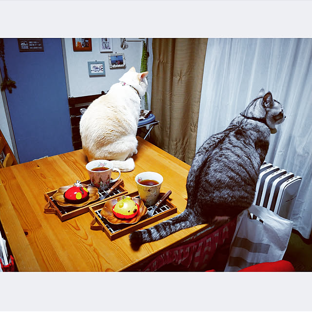 mntcさんの実例写真