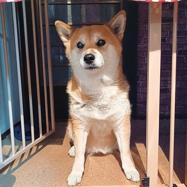 nanaさんの部屋