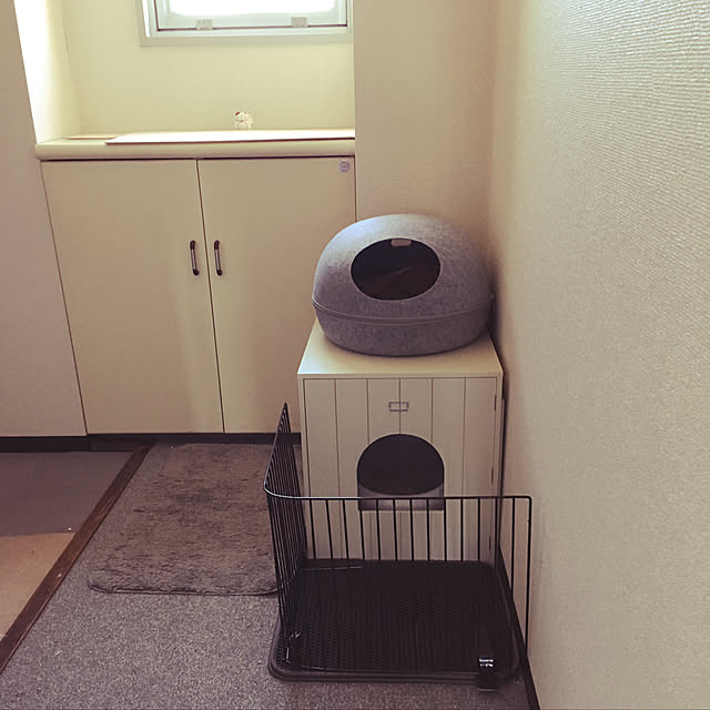 Fumieさんの実例写真