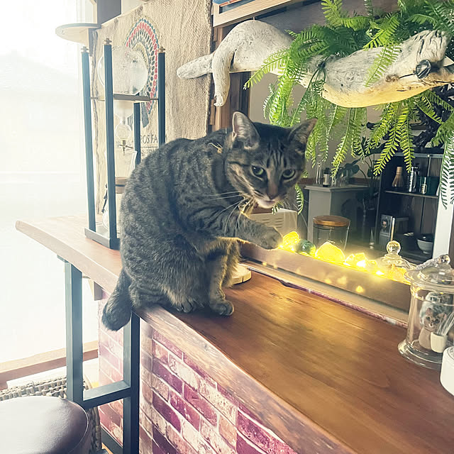 Mさんの実例写真