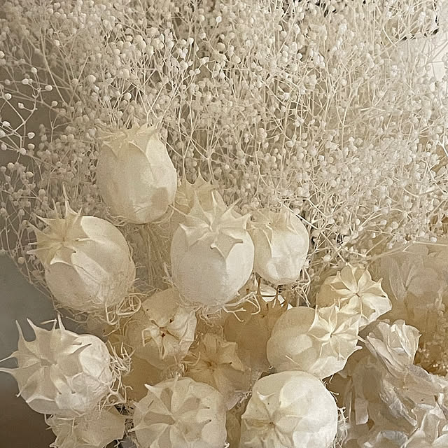 mamisazさんの部屋