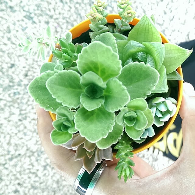 HIRO.TA29さんの実例写真