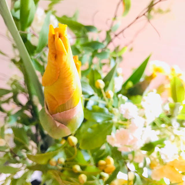 Nagakoさんの実例写真