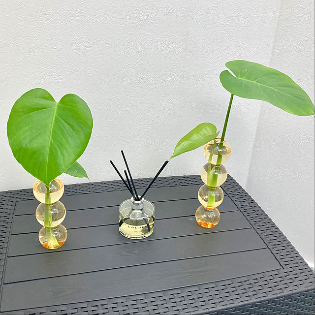 MOMOMAMAさんの部屋