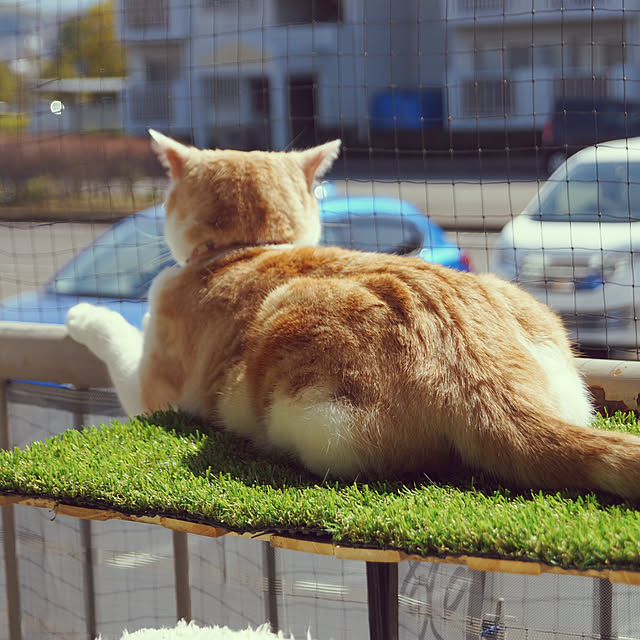 kobakissaさんの実例写真