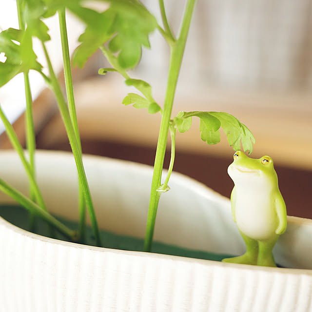 mangoさんの部屋