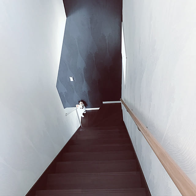 r600hさんの実例写真