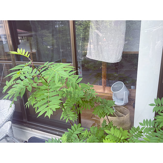 marucoさんの部屋