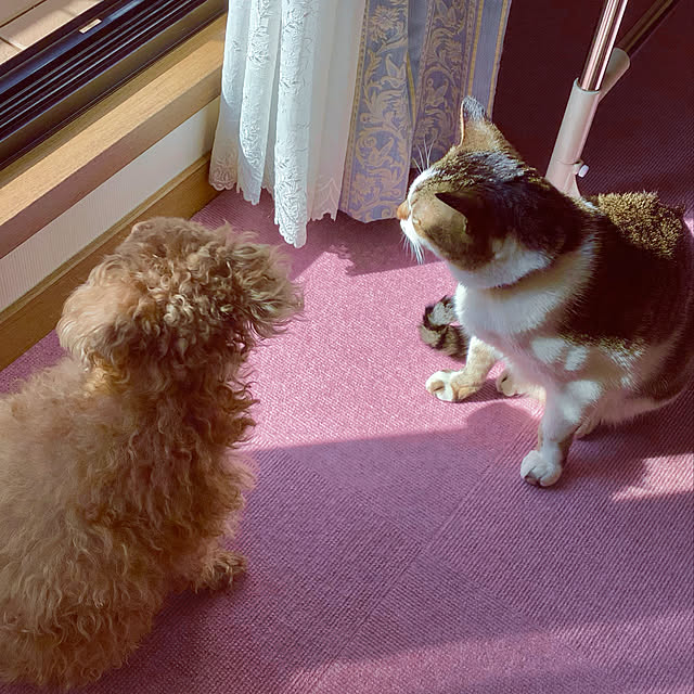 haruminさんの実例写真
