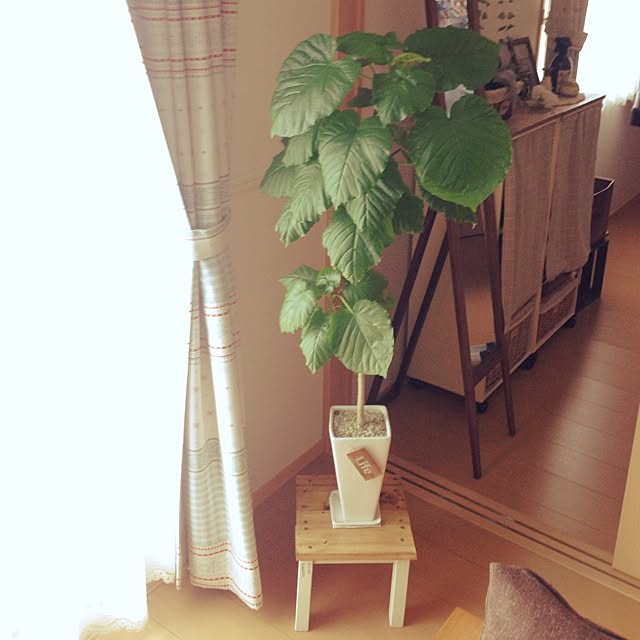 tumnさんの実例写真