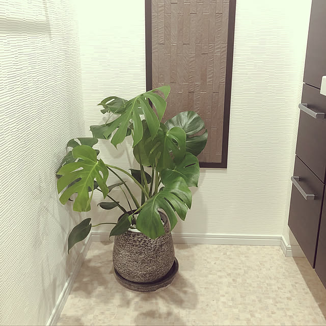 Mihiroさんの実例写真
