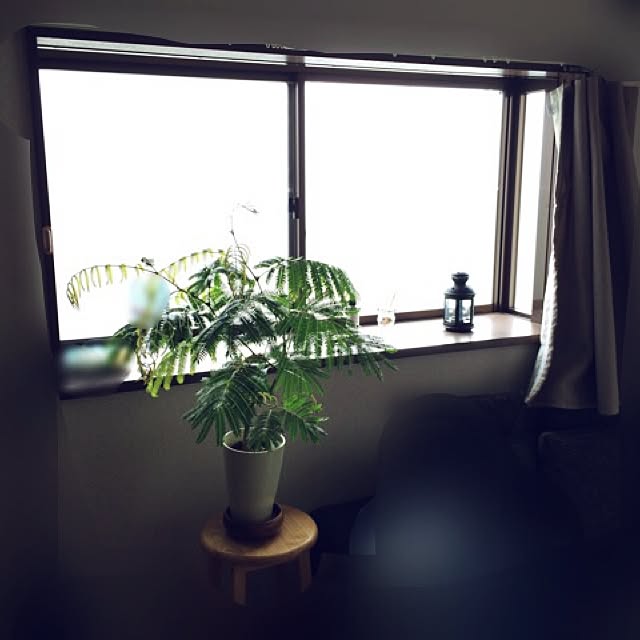 r.u.j.uさんの実例写真