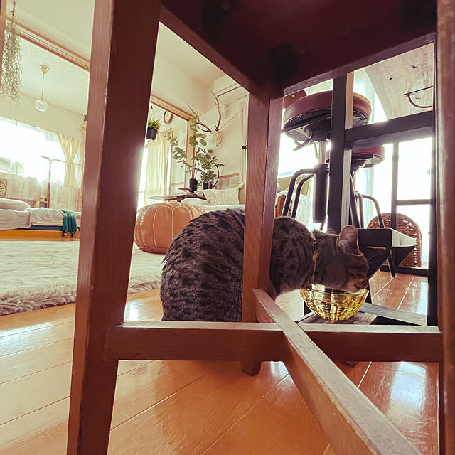 Mさんの実例写真