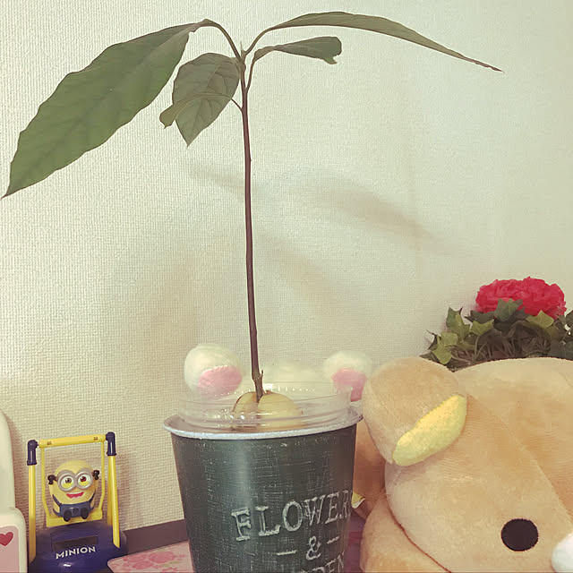 yukkyさんの実例写真