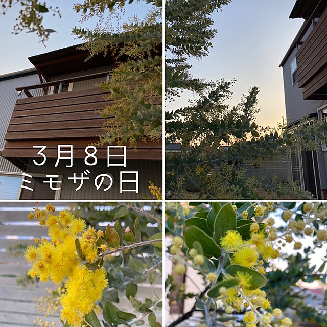 mkk8739hanasakuさんの実例写真