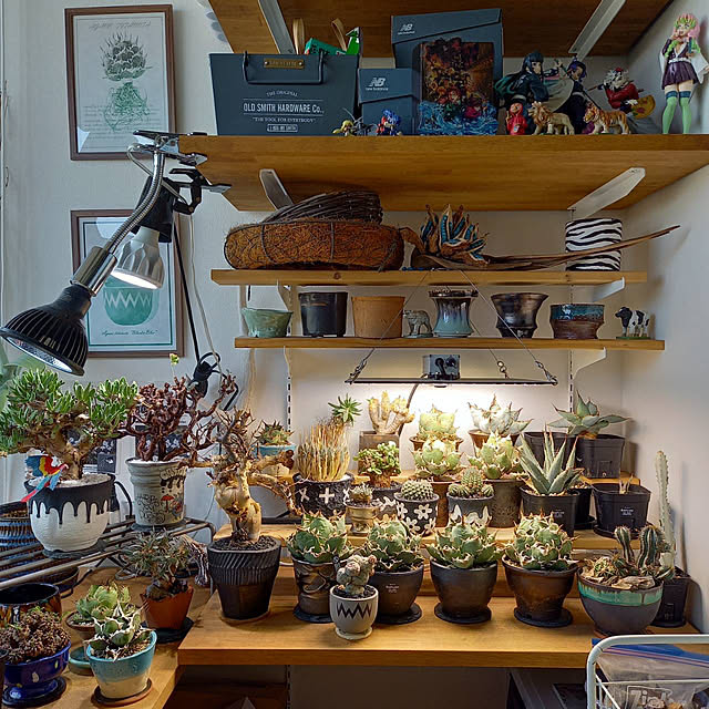 Rさんの実例写真