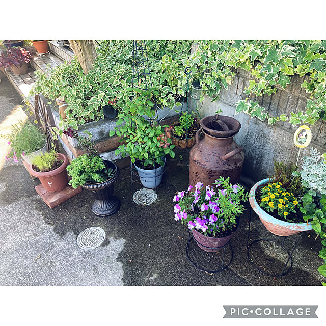 CoCo0617さんの実例写真