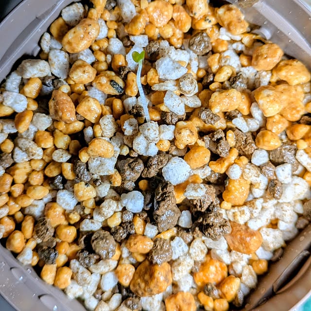 mi-saさんの部屋