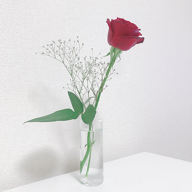 205さんの実例写真