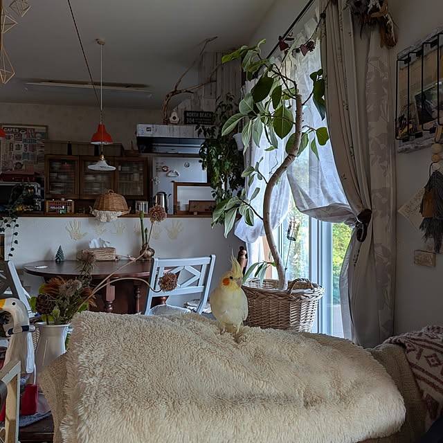akiさんの部屋