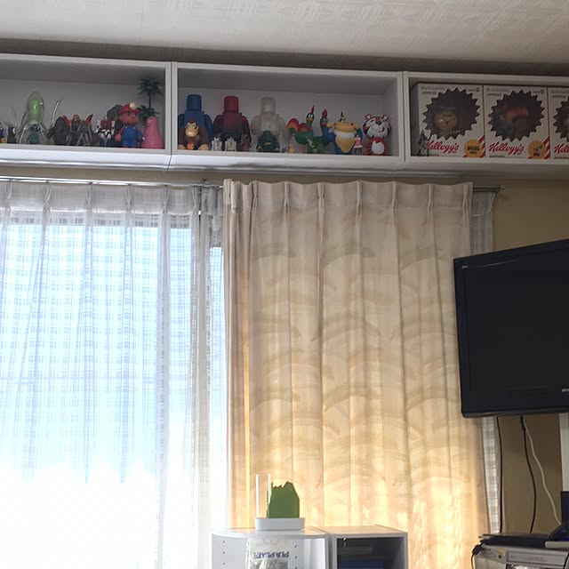 nu_tronさんの実例写真