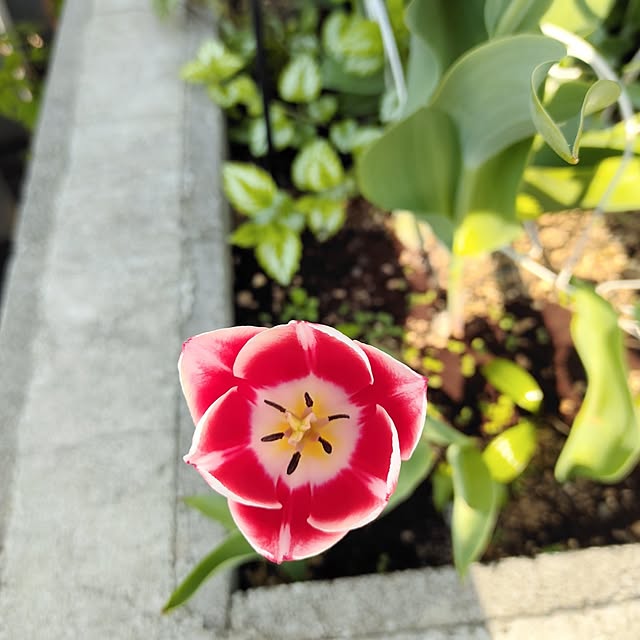 kiraさんの実例写真