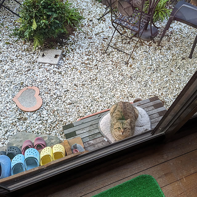 uchizukonyanさんの実例写真