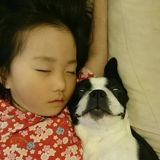 8484884famさんの実例写真