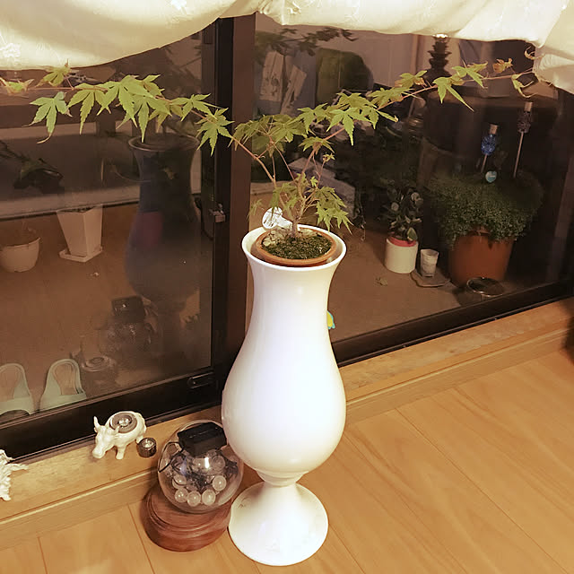 EDWOLDさんの実例写真