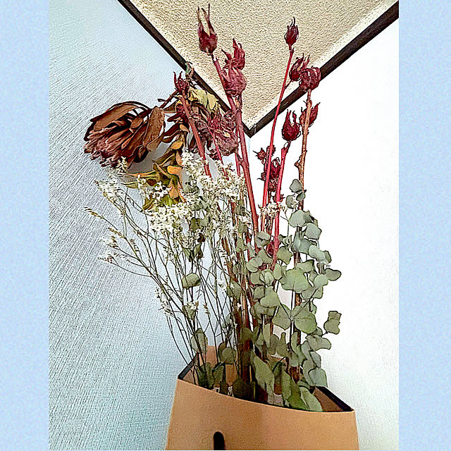 syutmmさんの部屋