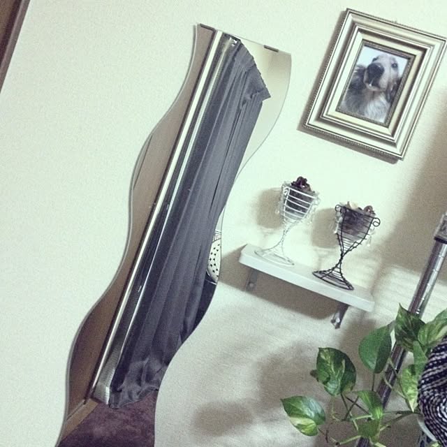 armyさんの実例写真