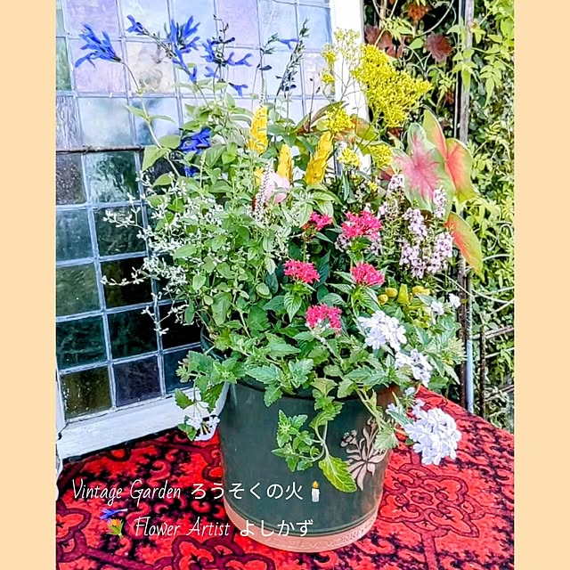 ElegantiqueFlowerさんの部屋