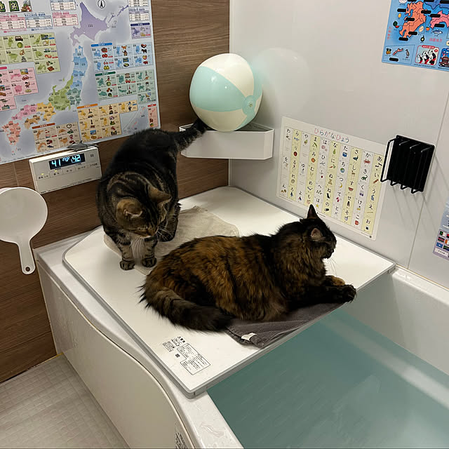 mikomaruさんの部屋