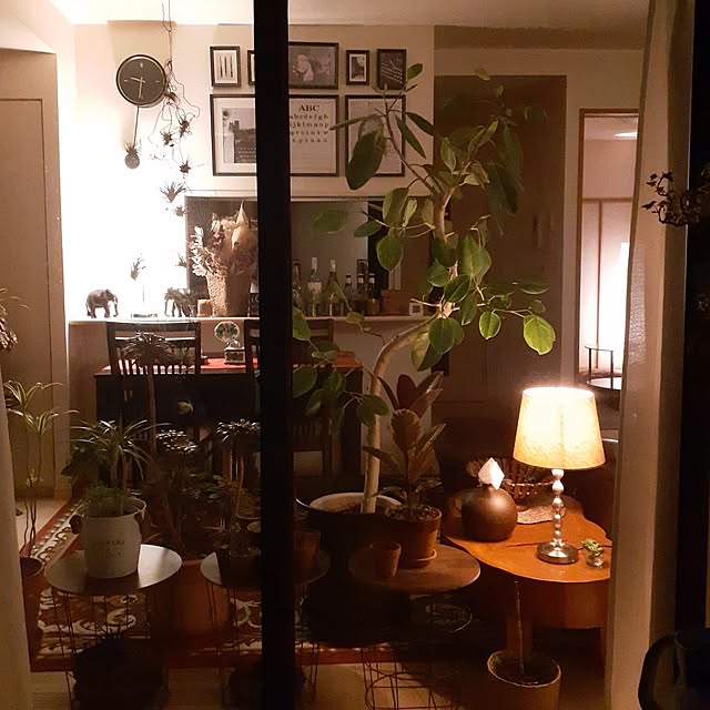 seijiさんの部屋