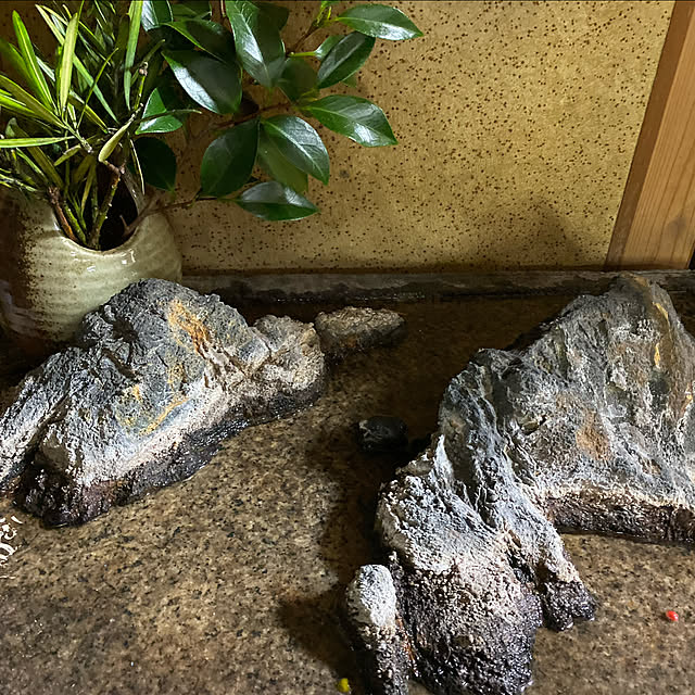 実例写真