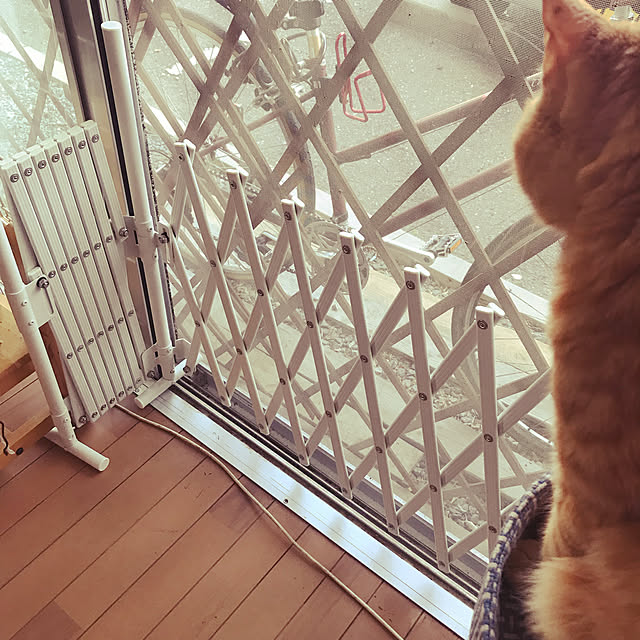 kou-kitiさんの実例写真