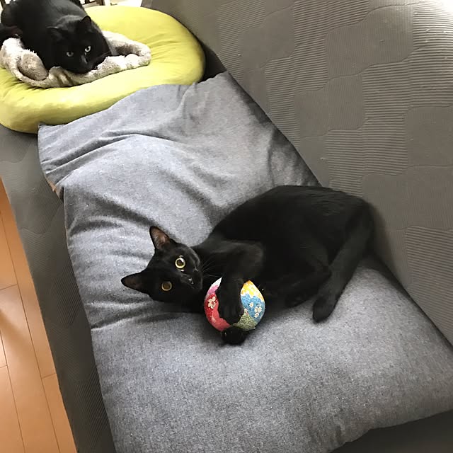 yuki0511さんの実例写真