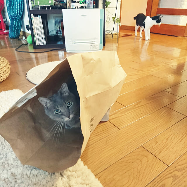 uchizukonyanさんの実例写真