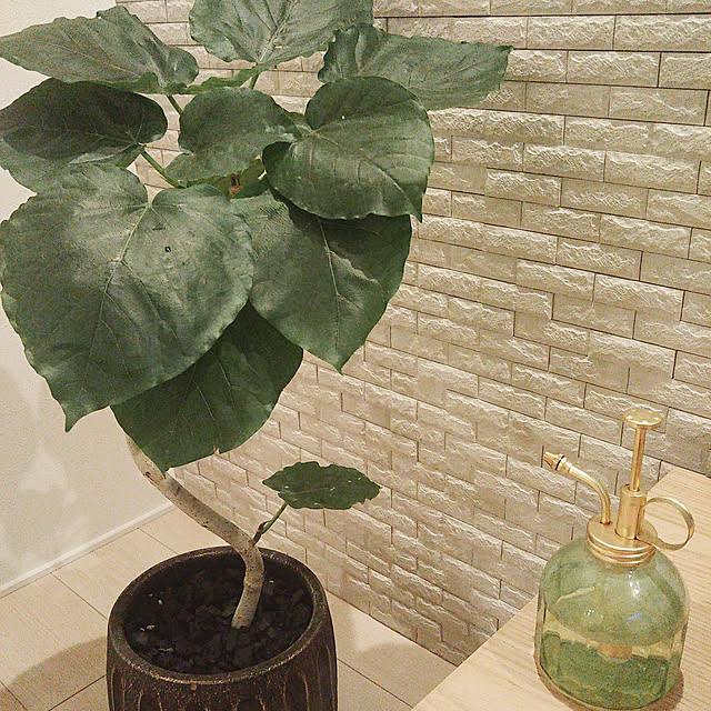 リビング/観葉植物のインテリア実例 - 2019-07-29 20:25:58
