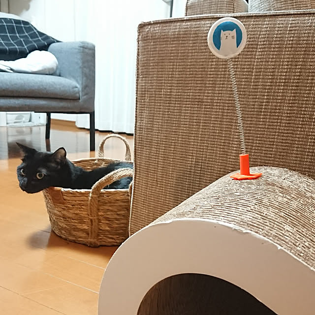 maikyさんの実例写真