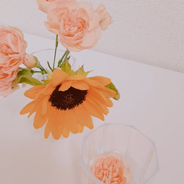 mujiさんの実例写真