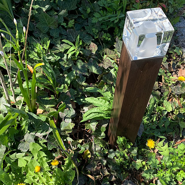 sykさんの実例写真