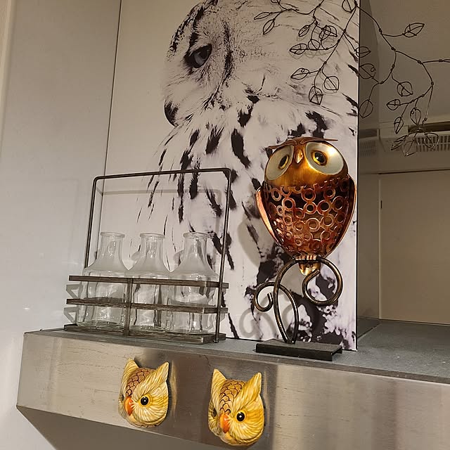zenoさんの部屋