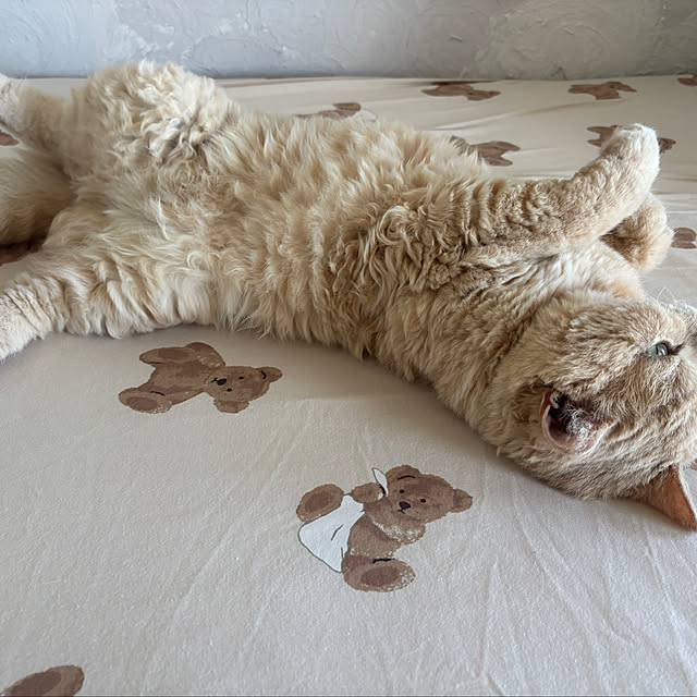 naokoさんの部屋